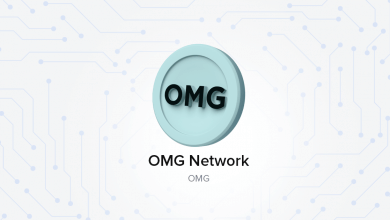 OMG-Network-nedir