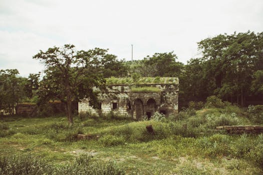 Discover the mystery of ancient ruins surrounded by lush greenery in a serene outdoor setting.