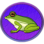 Frog Coin